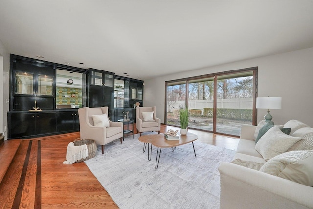 living room with wood-type flooring