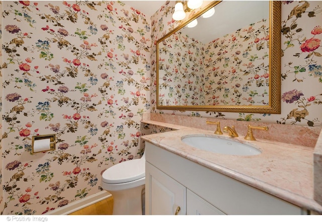 bathroom featuring toilet, wood-type flooring, and vanity