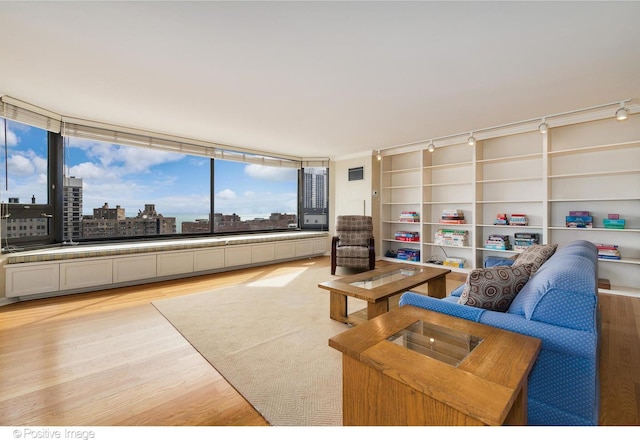 living room featuring light hardwood / wood-style floors