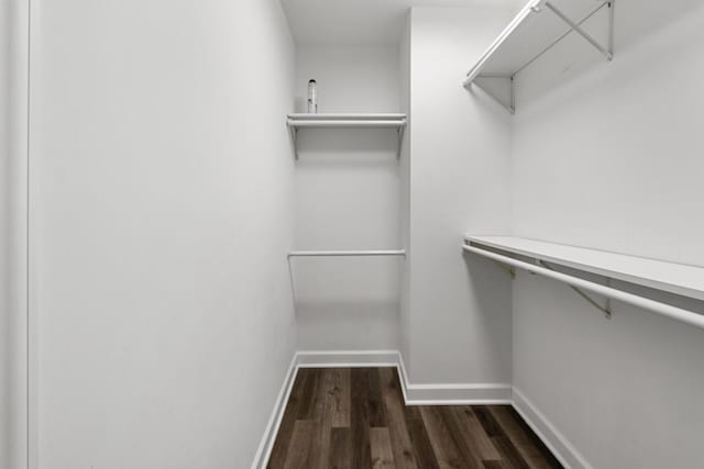 walk in closet with dark hardwood / wood-style flooring