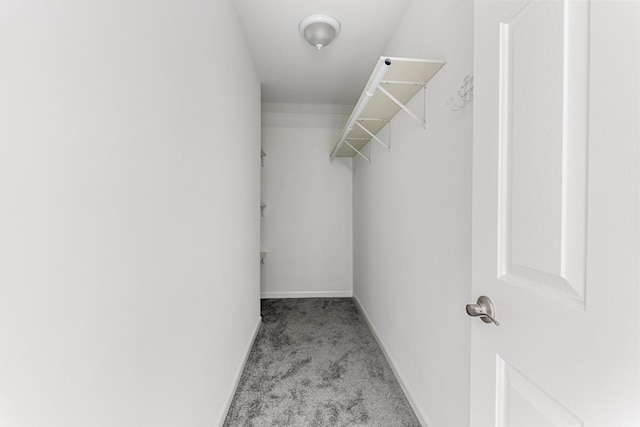 walk in closet featuring light colored carpet