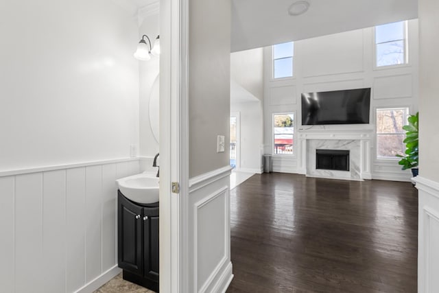 bathroom featuring a healthy amount of sunlight, a premium fireplace, and vanity