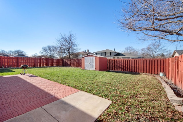 view of yard featuring a patio and a storage unit