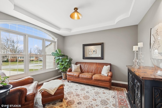 living room with hardwood / wood-style flooring and a raised ceiling