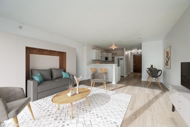 living room featuring light hardwood / wood-style floors