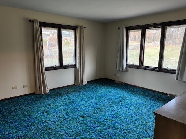 carpeted spare room featuring a wealth of natural light