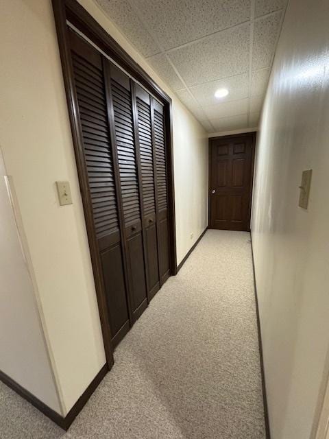 hallway with a drop ceiling and light colored carpet