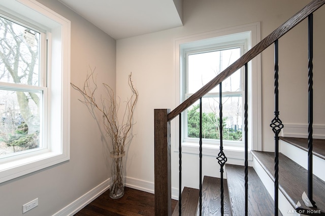 stairway with wood-type flooring and a healthy amount of sunlight