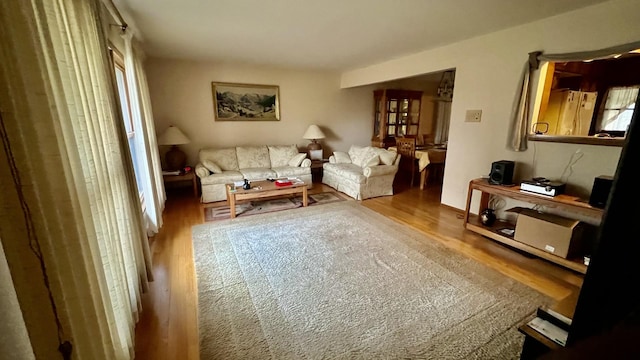 living room with wood-type flooring