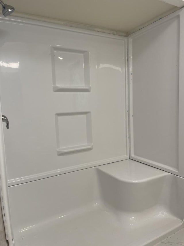 bathroom with a shower