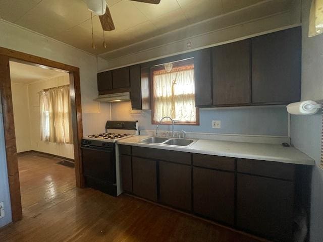 kitchen featuring dark brown cabinets, ceiling fan, white range with gas cooktop, sink, and hardwood / wood-style flooring