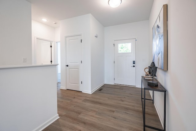 foyer entrance featuring wood-type flooring