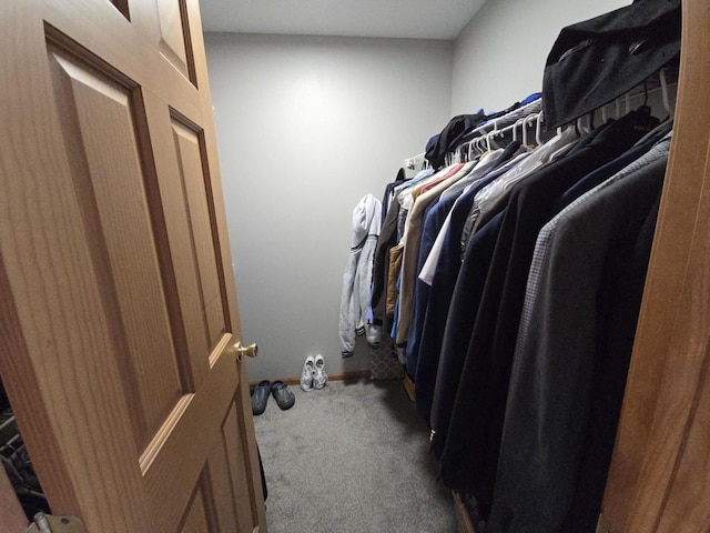 walk in closet with light colored carpet