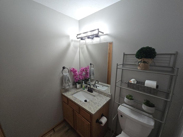 bathroom featuring vanity, toilet, and wood-type flooring