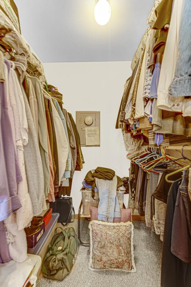 walk in closet with carpet flooring