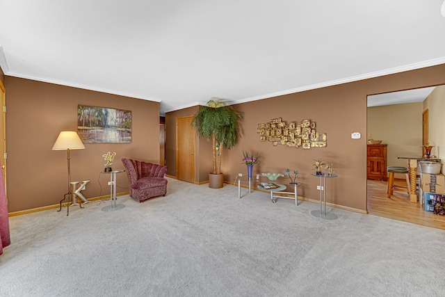 sitting room featuring carpet flooring and ornamental molding