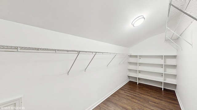 spacious closet featuring dark hardwood / wood-style floors and vaulted ceiling