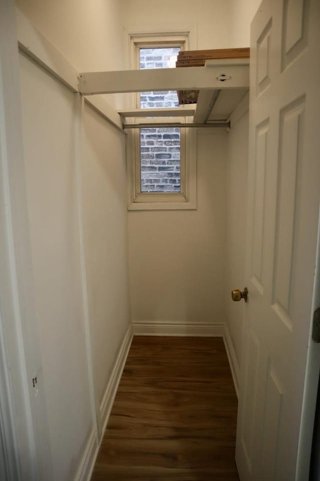 spacious closet featuring dark hardwood / wood-style floors