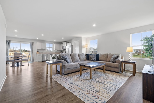 living room featuring dark hardwood / wood-style floors and sink