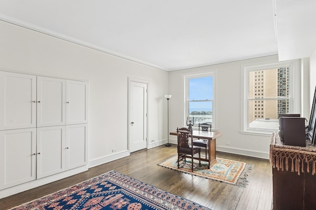 office space with dark hardwood / wood-style flooring