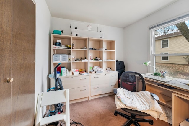 office area featuring carpet