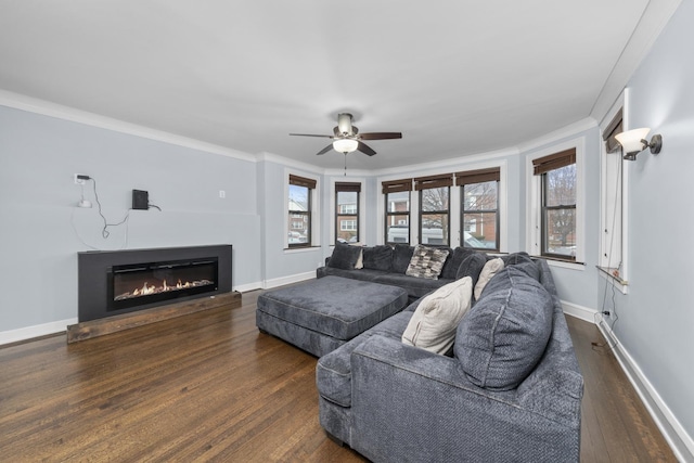 living room with ceiling fan, plenty of natural light, dark wood-type flooring, and ornamental molding