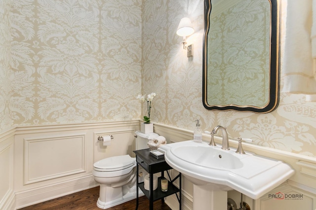 bathroom with hardwood / wood-style flooring, sink, and toilet