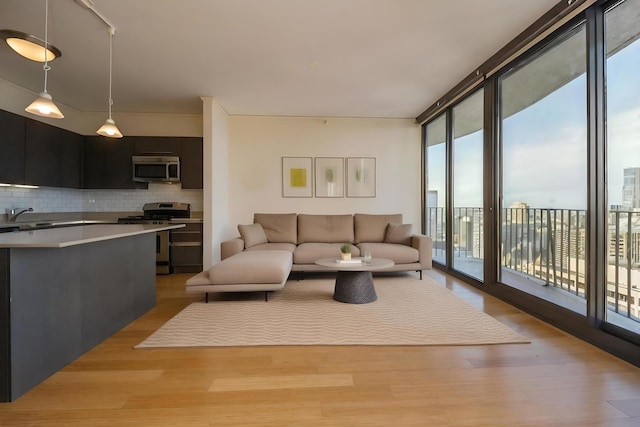 living room featuring floor to ceiling windows, light hardwood / wood-style flooring, and plenty of natural light