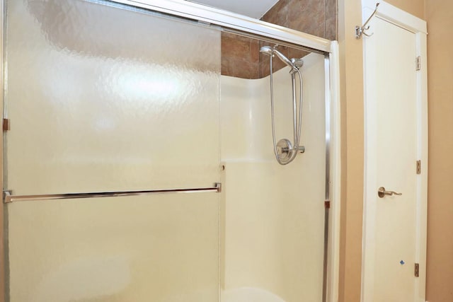 bathroom featuring a shower with door