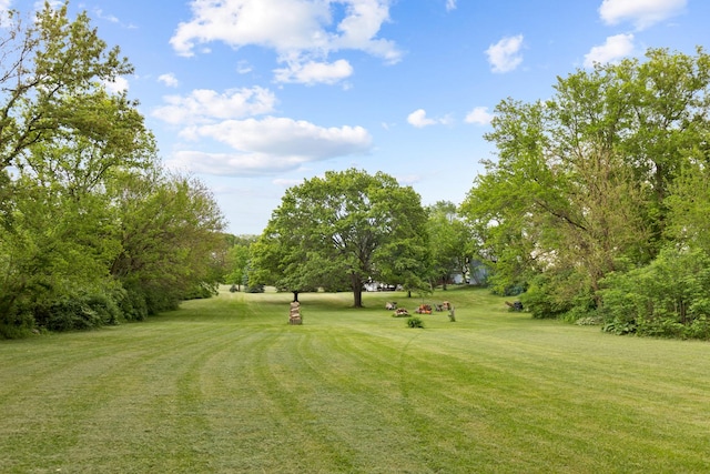 view of yard