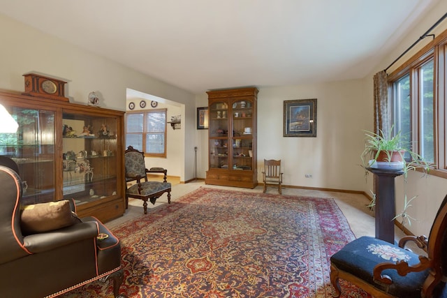 living room featuring light carpet