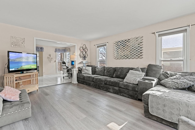 living room featuring hardwood / wood-style floors