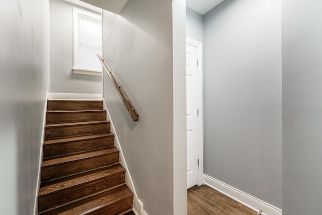 hall with dark wood-type flooring