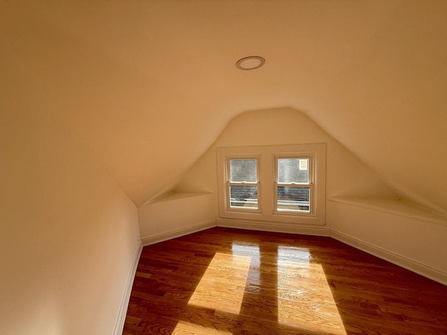 additional living space with vaulted ceiling and hardwood / wood-style flooring