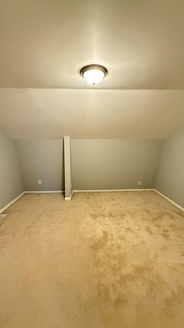 additional living space with carpet floors and vaulted ceiling