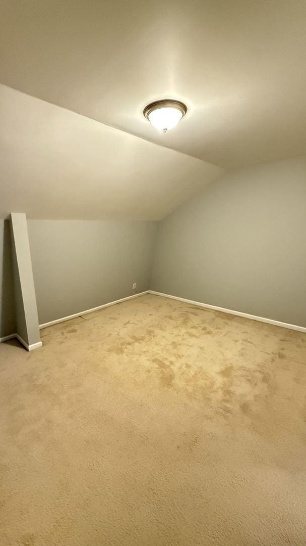 bonus room with carpet and lofted ceiling