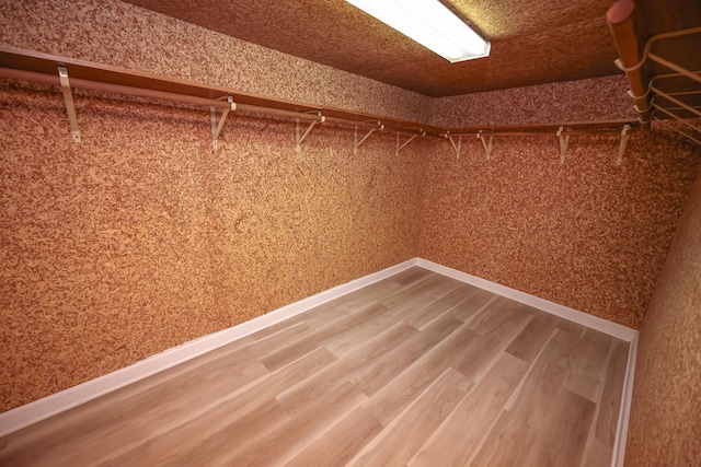 walk in closet with wood-type flooring