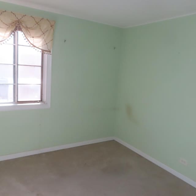 empty room featuring carpet