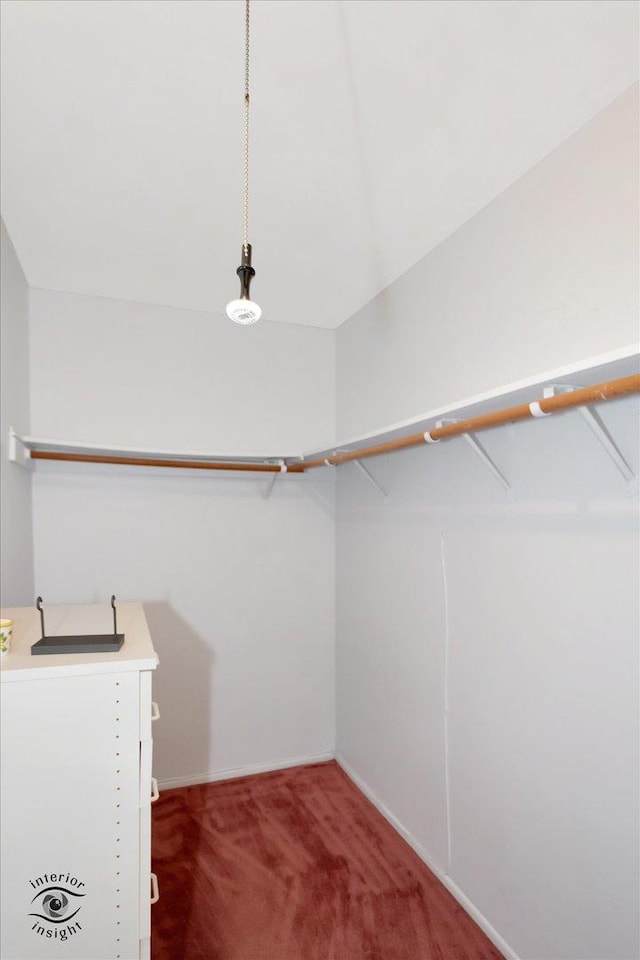 spacious closet with sink and carpet floors