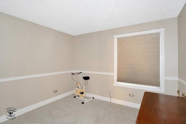 interior space featuring light colored carpet and a textured ceiling