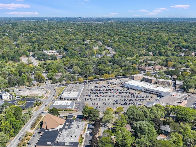 aerial view