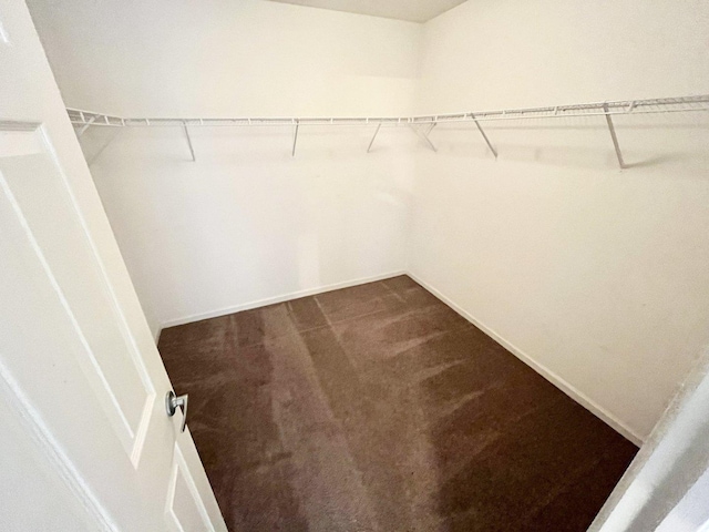 walk in closet with dark carpet