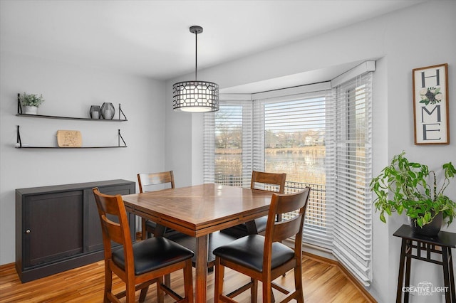 dining room featuring light hardwood / wood-style floors