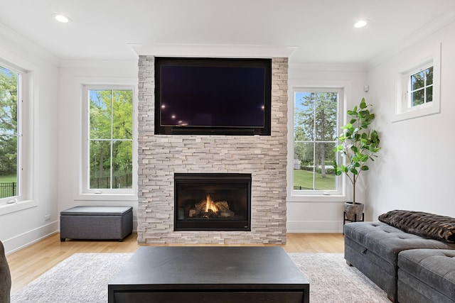 living room featuring crown molding, a stone fireplace, baseboards, and wood finished floors