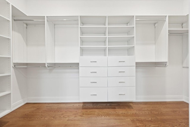 spacious closet featuring wood-type flooring