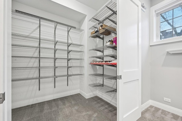 spacious closet with carpet floors