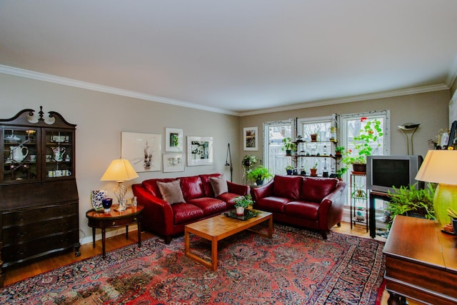 living room with crown molding and wood-type flooring