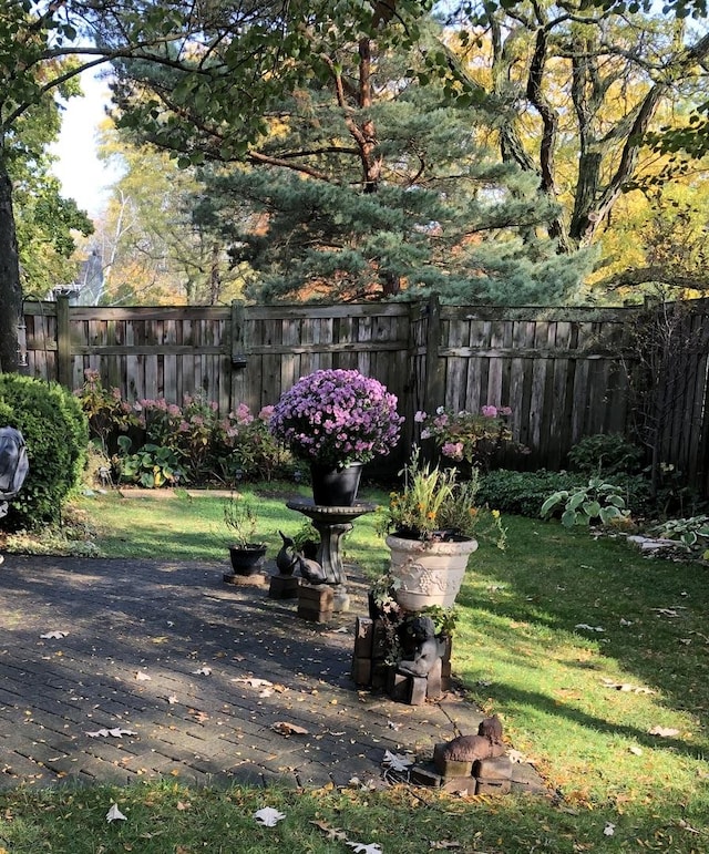 view of yard featuring a patio area