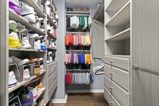 spacious closet featuring dark hardwood / wood-style flooring