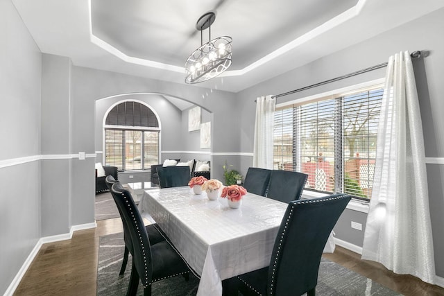 dining room with a raised ceiling, a wealth of natural light, and dark hardwood / wood-style floors